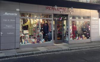 Pénélope Boutique, Professionnel de la lingerie en France