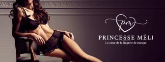 Princesse Méli, Professionnel de la lingerie en France